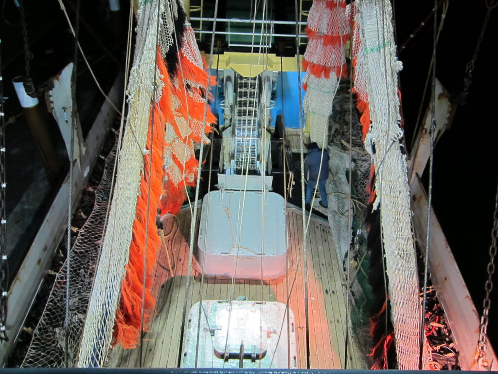 dekverlichting TX-43